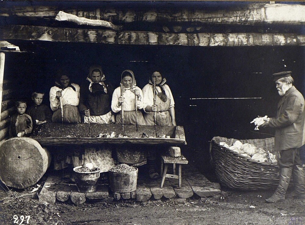 Рубка капусты. Челябинская область (Уфимская губерния), 1908. Автор М. А. Круковский