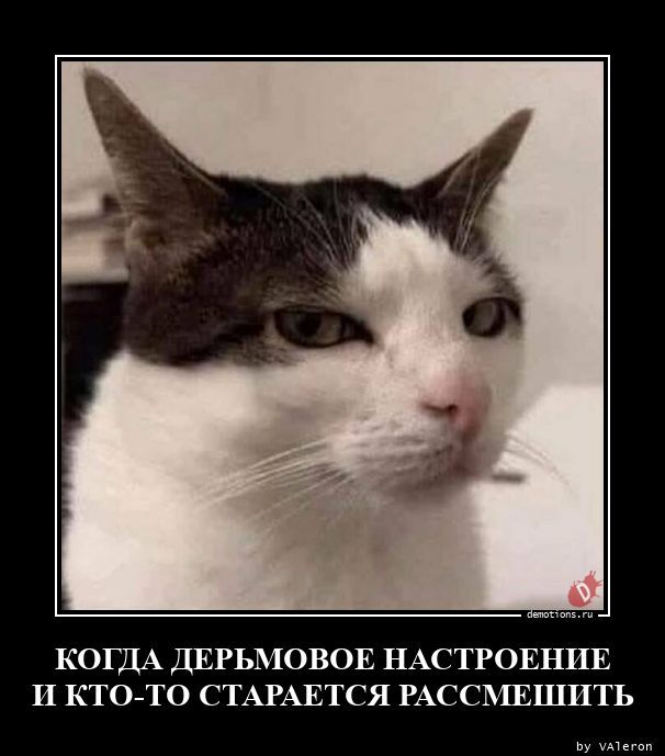 Когда дерьмовое настроение и кто-то старается рассмешить