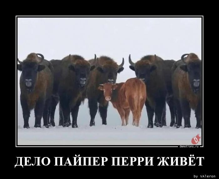 Дело Пайпер Перри живёт