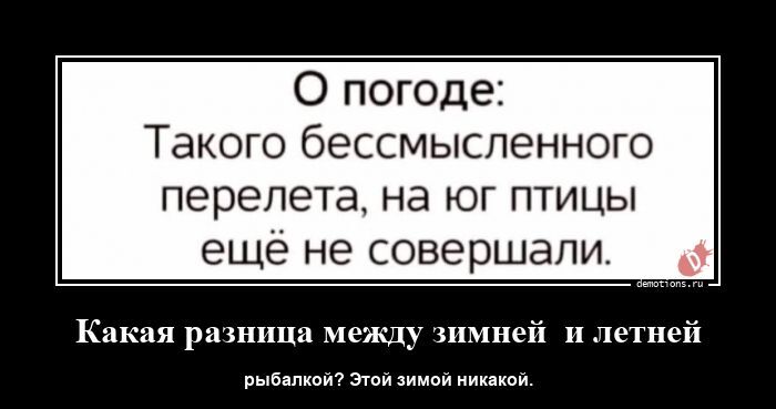 Какая разница между зимней и летней