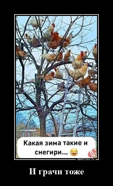 Демотиваторы для хорошего настроения