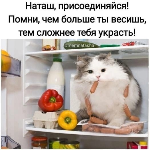 Улыбатор