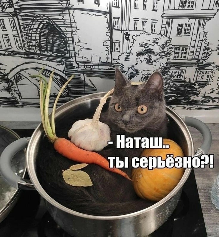 Улыбатор