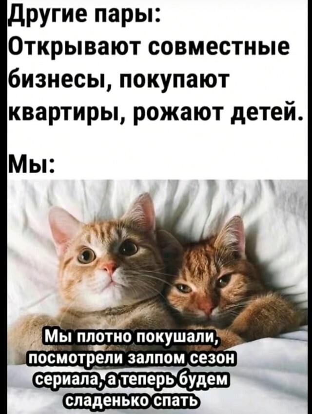 Улыбатор