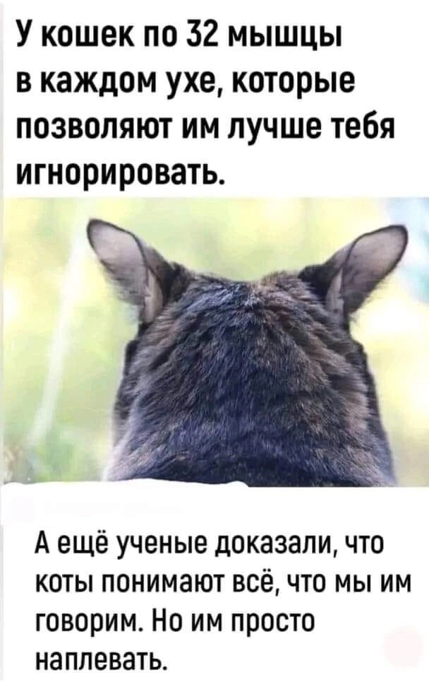 Улыбатор