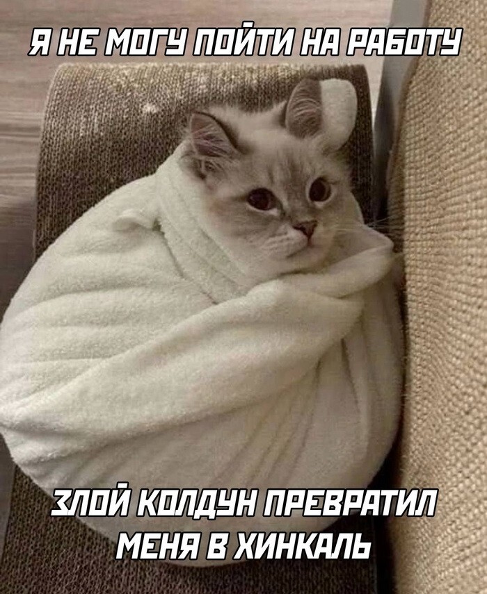 Скрины из соцсетей