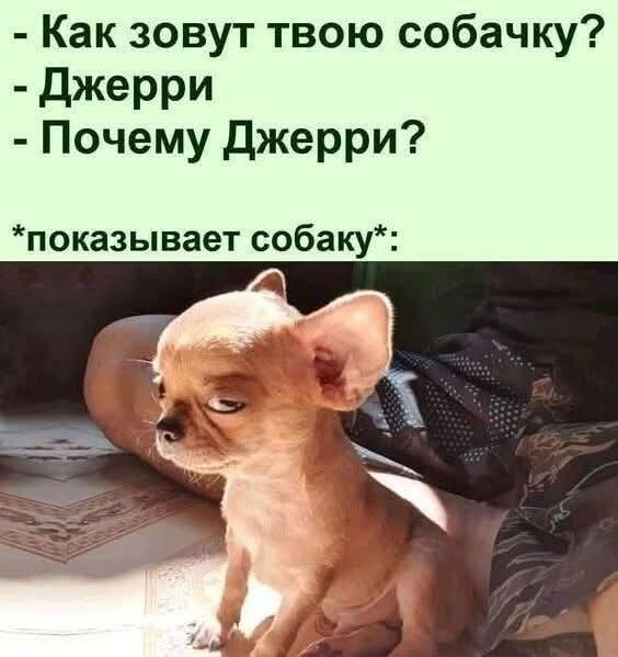 Скрины из соцсетей