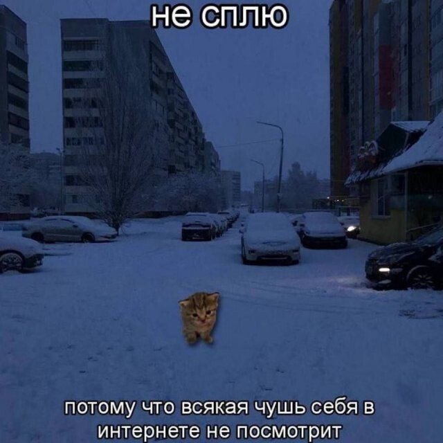 Скрины из соцсетей