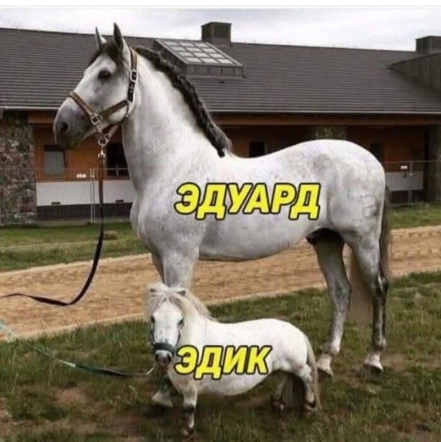 Скрины из соцсетей