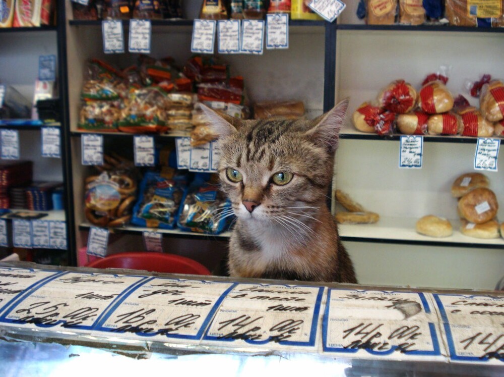 23. Цены, которые нас удивили