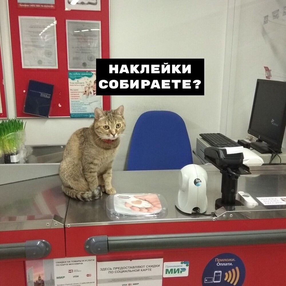 11. Обязательный вопрос