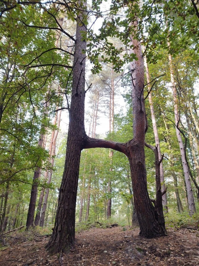 Фото суббота