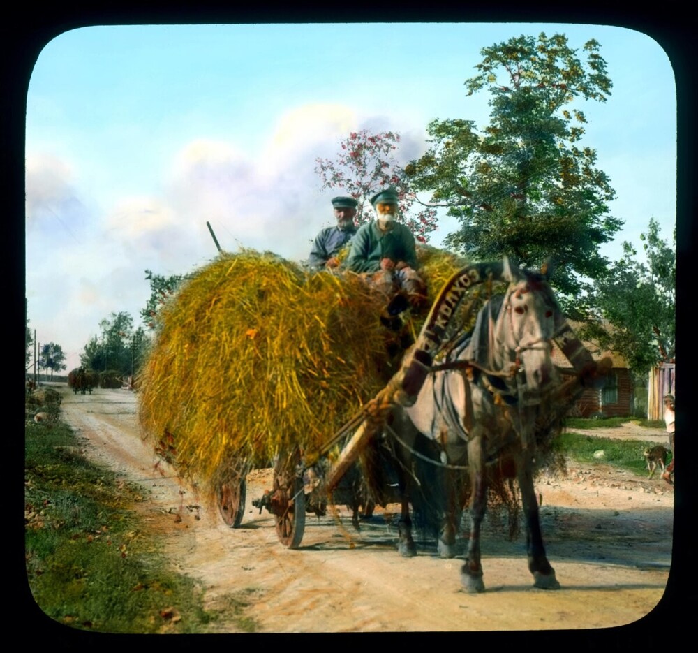 Ленинградская область. Деревня Большое Пулково. 1932 год.