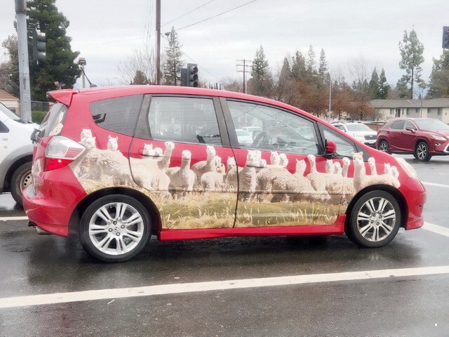 АвтоВсячина