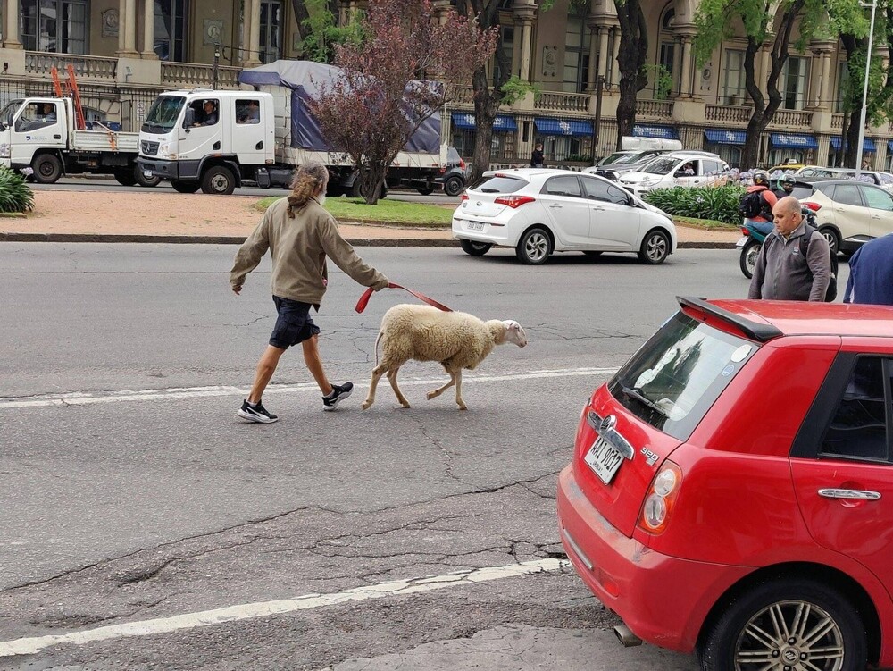 На общую тему 