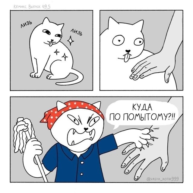 Скрины из соцсетей            