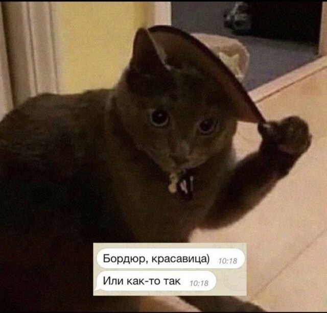 Скрины из соцсетей            