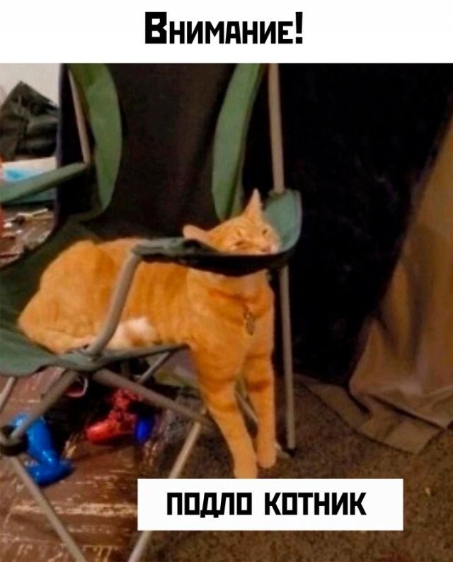 Намешалось