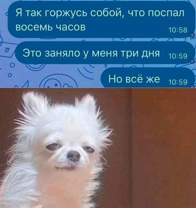 Не ищите здесь смысл. Здесь в основном маразм