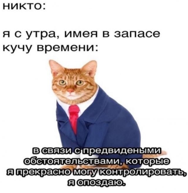 Не ищите здесь смысл. Здесь в основном маразм