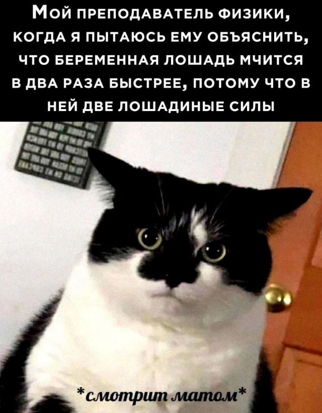 Не ищите здесь смысл. Здесь в основном маразм