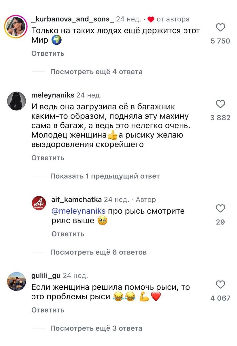 На Камчатке женщина погрузила сбитую рысь в машину, невзирая на наличие в ней младенца