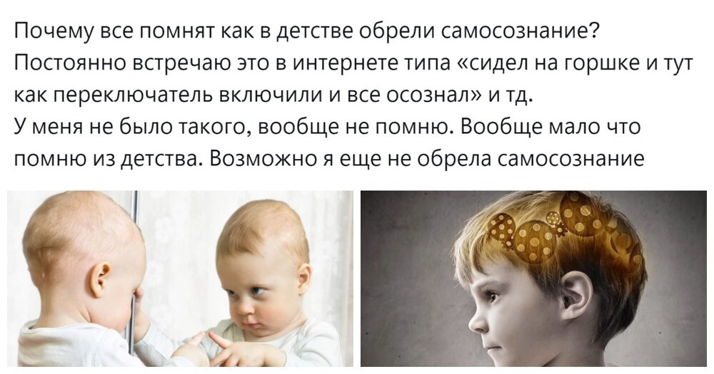 Пользователи обсудили животрепещущую тему обретения самосознания и разошлись во мнениях