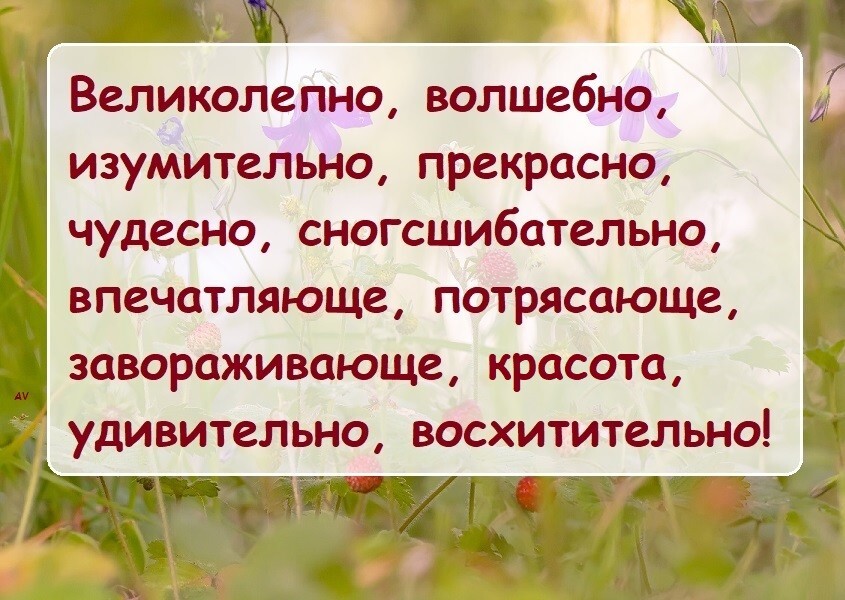 Шутки-картинки