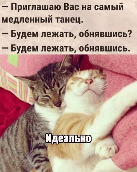 Шутки-картинки