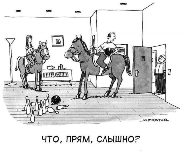 Шутки-картинки