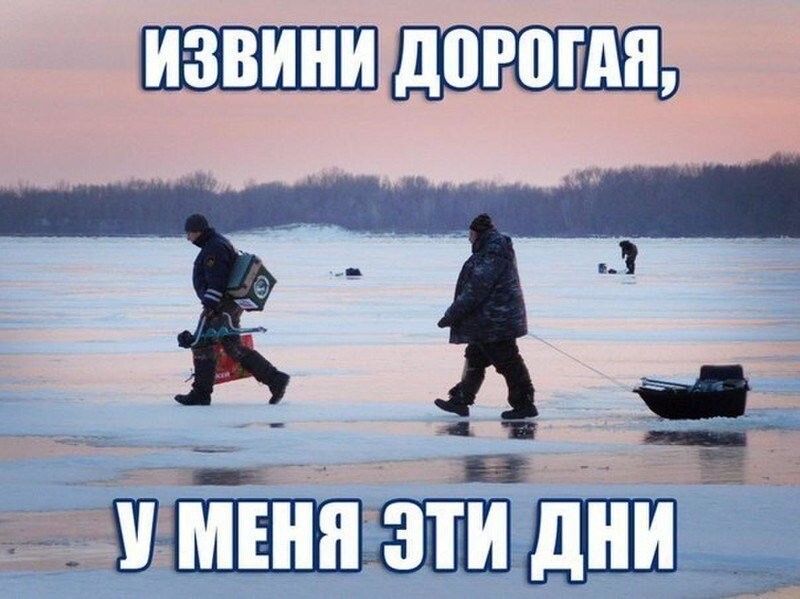 Шутки-картинки