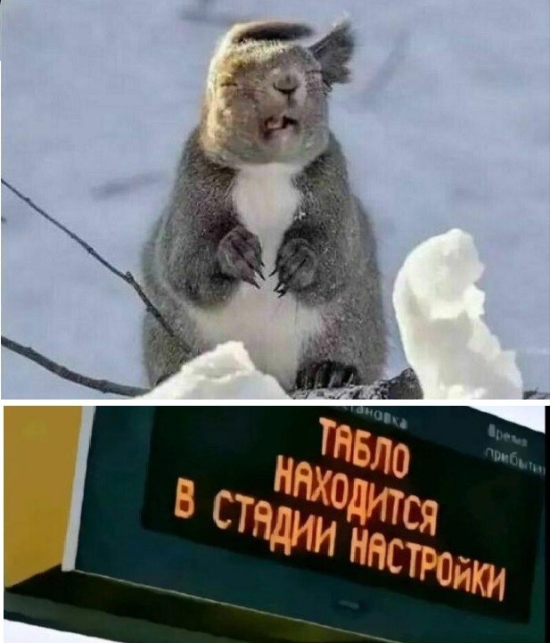 Шутки-картинки