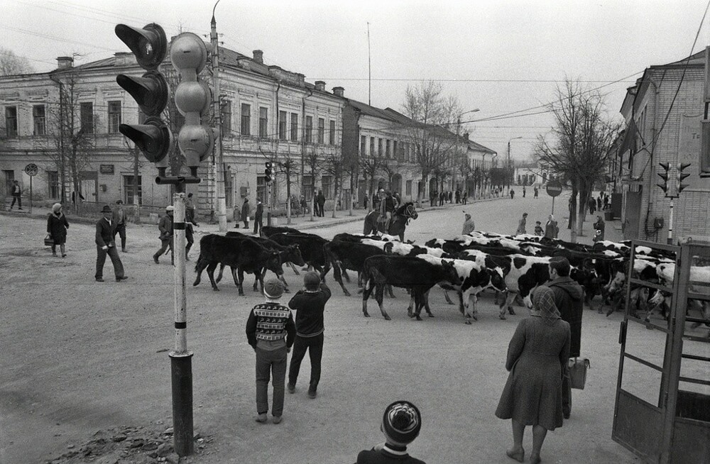 На перекрестке. 1983 год. Фотограф Валерий Усманов. Калужская обл., Тарусский р-н, г. Таруса