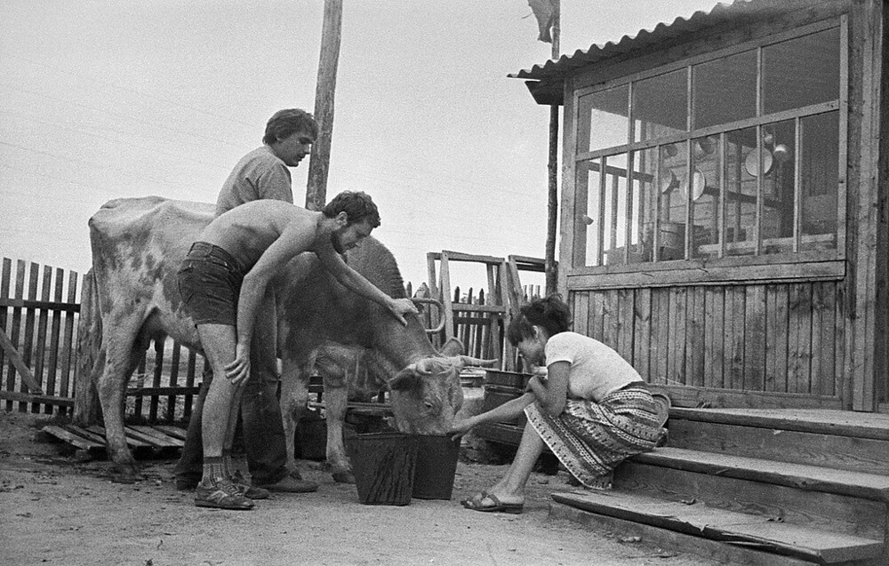 «Сельские заботы». Июль 1983 года. Фотограф Павел Сухарев. Красноярский край, Хакасская АО, с. Белый Яр