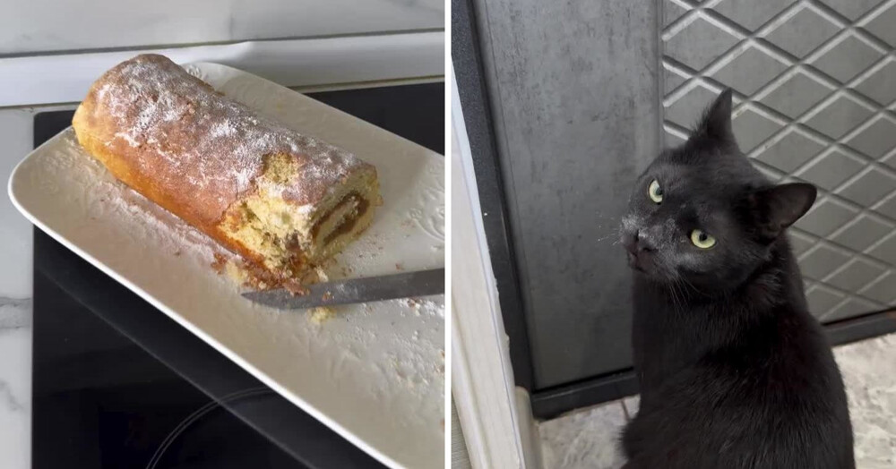 Это точно не он!