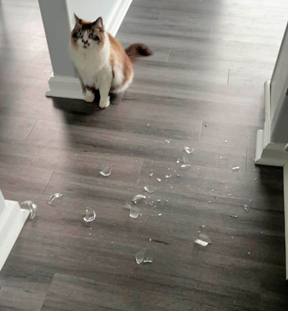 Оно само, коготь даю!