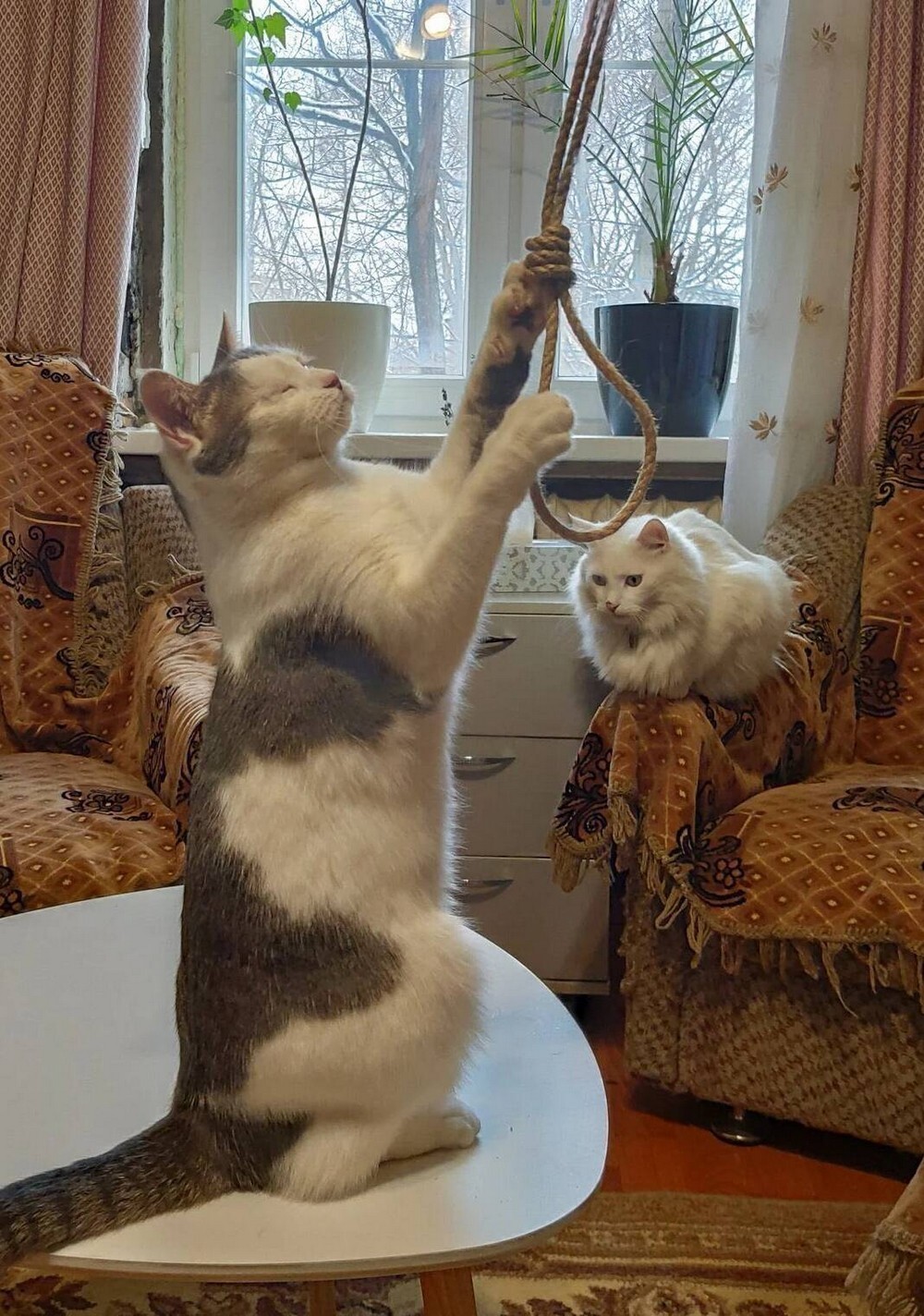 На общую тему 