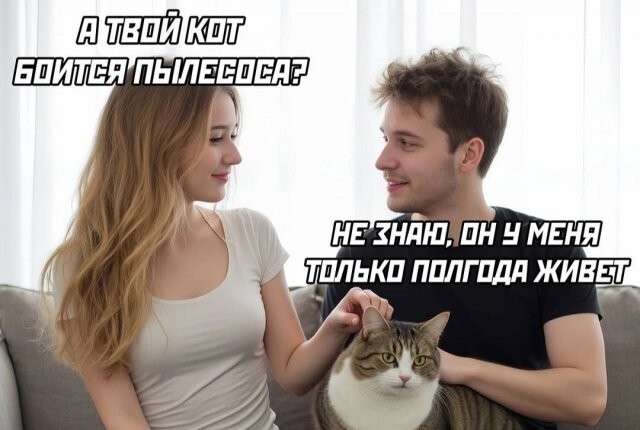 Скрины из соцсетей