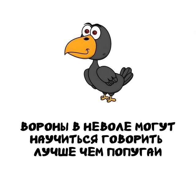 А вдруг ты не знал…