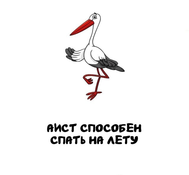А вдруг ты не знал…