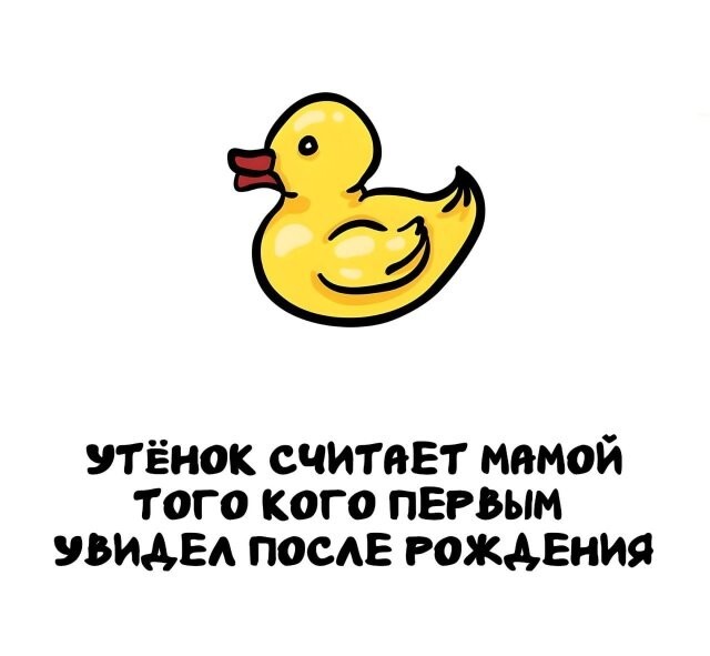 А вдруг ты не знал…