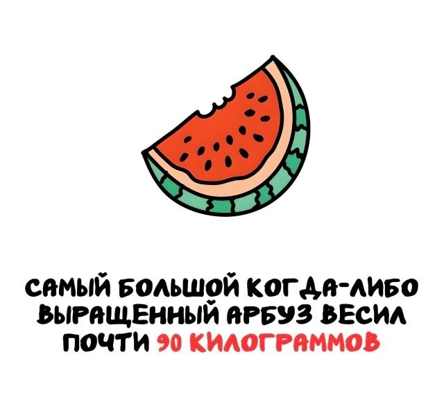 А вдруг ты не знал…
