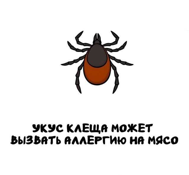 А вдруг ты не знал…