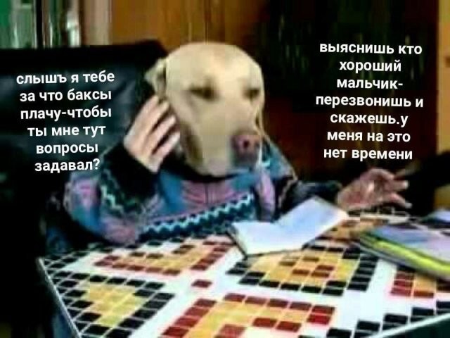 Не ищите здесь смысл. Здесь в основном маразм