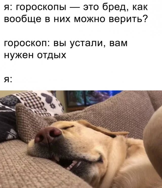 Не ищите здесь смысл. Здесь в основном маразм