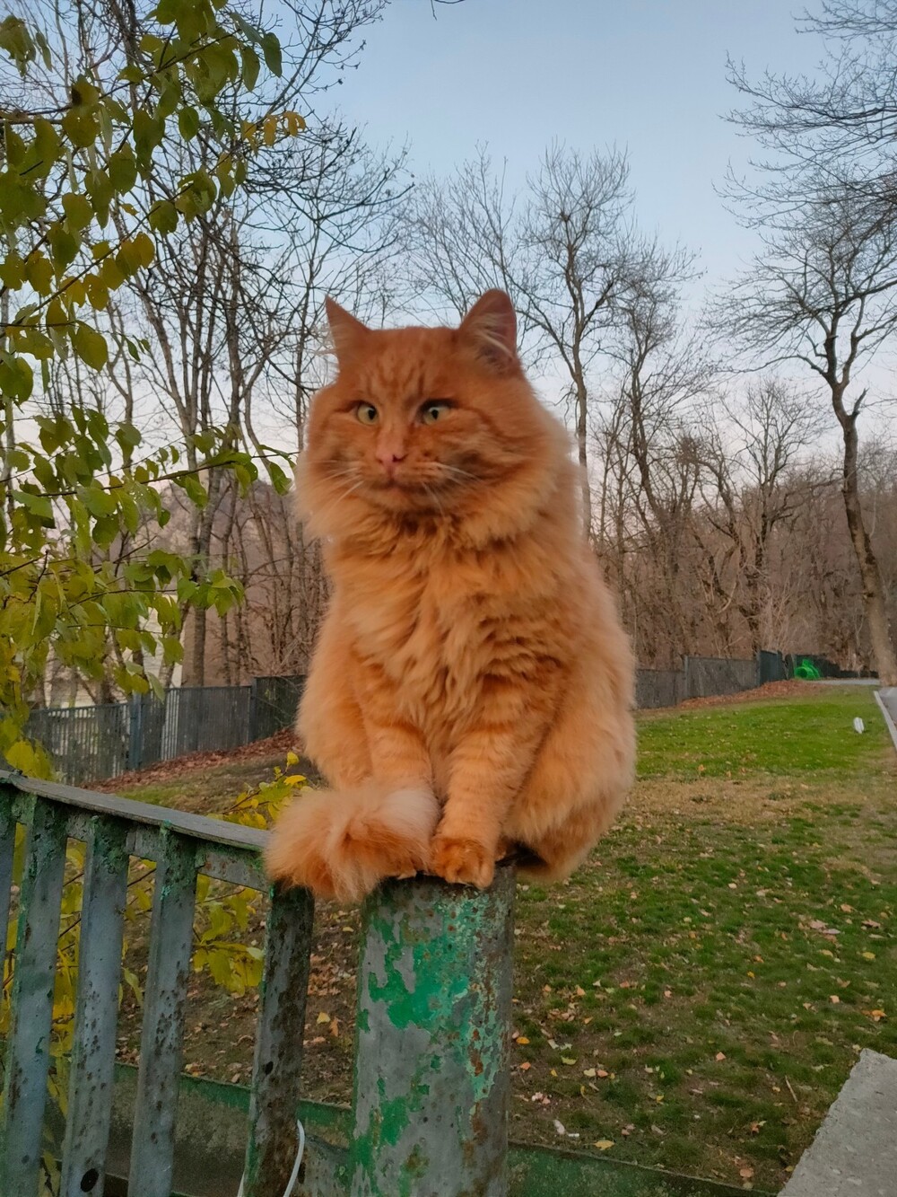 На общую тему 