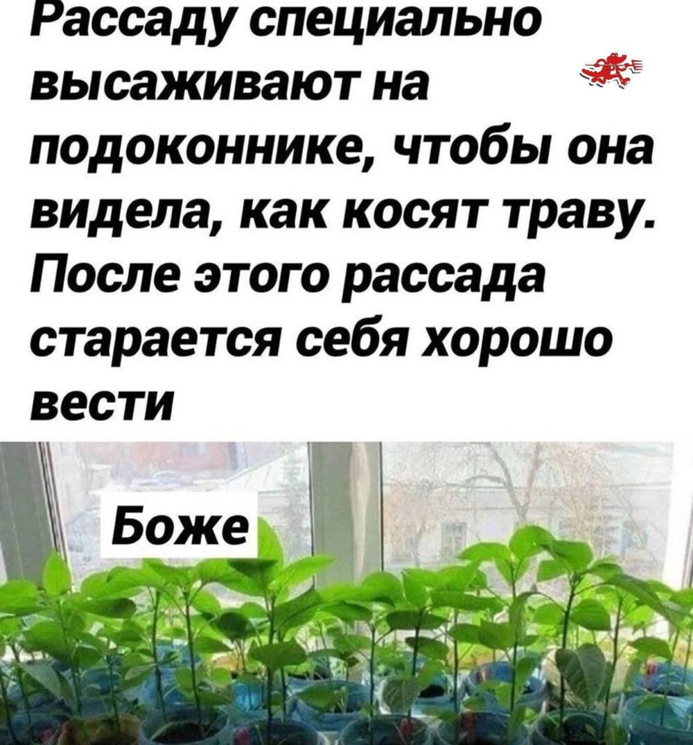 Смешные картинки