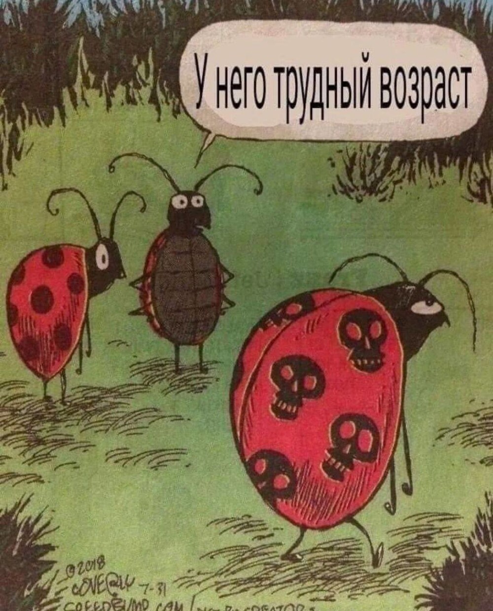 Смешные картинки