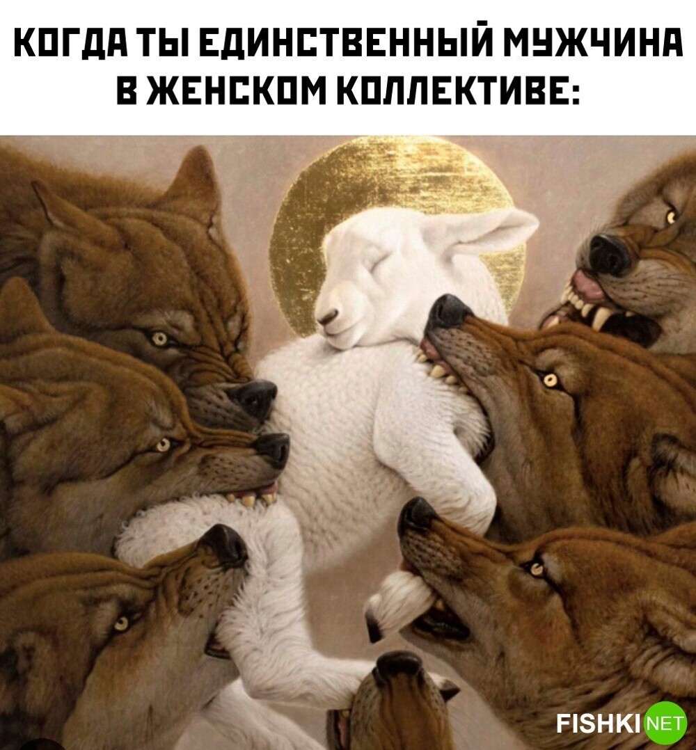 Смешные картинки