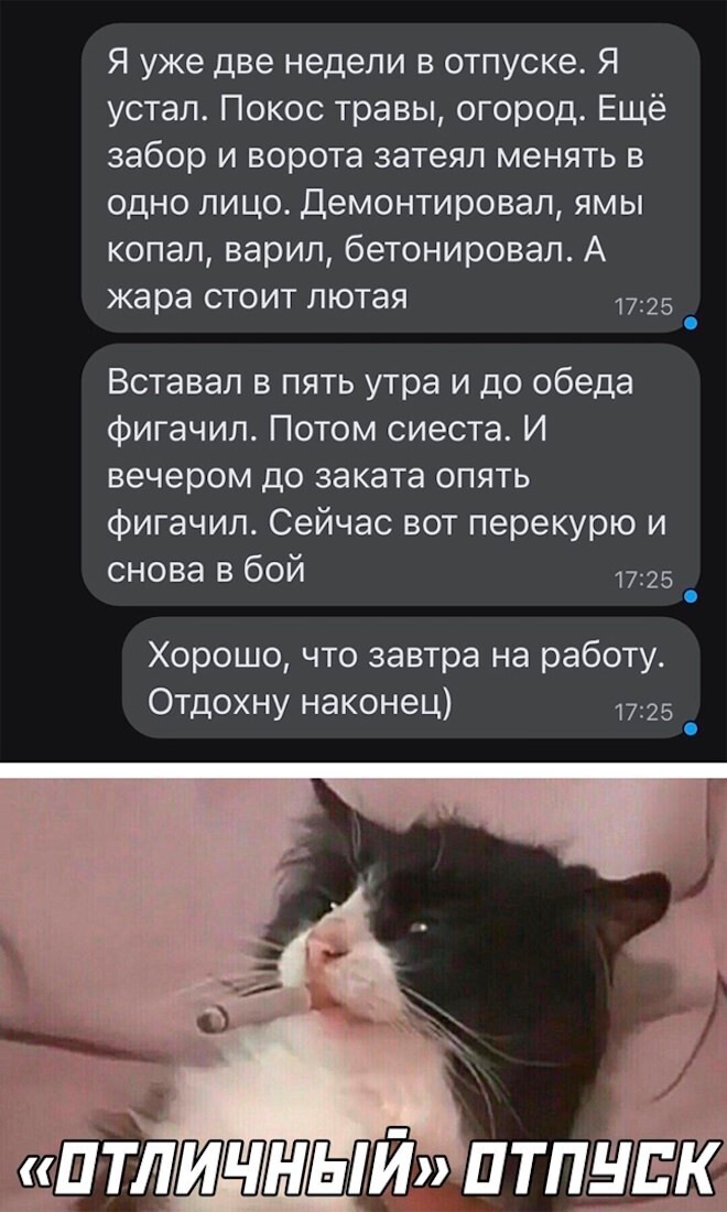 Смешные картинки